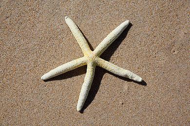 国产肉鸽游戏《太子沉香》Steam页面上线 发售日期待定